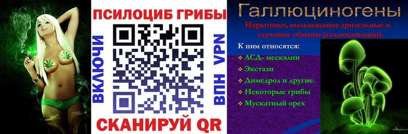 Галлюциногенные грибы MAGIC MUSHROOMS  Раменское 